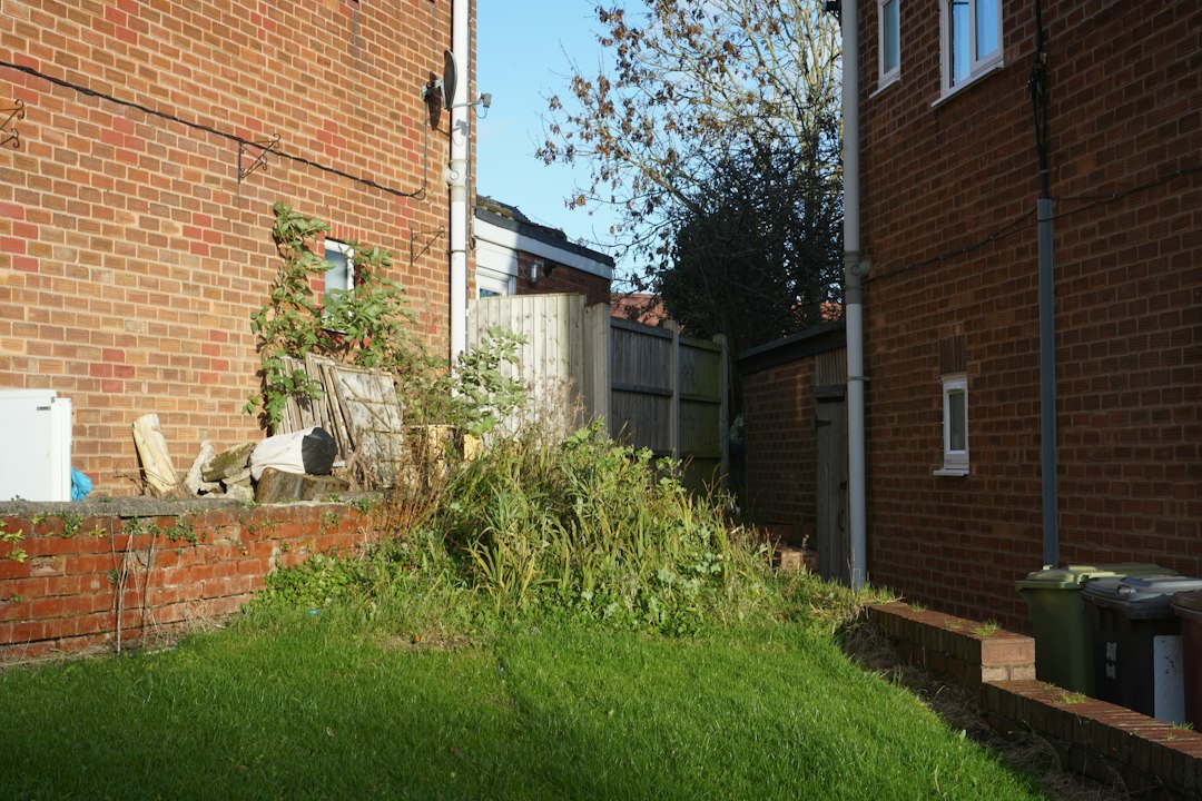 Jardin avant travaux